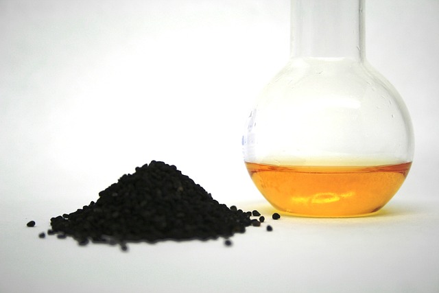 Schwarzkümmelöl – Wie gesund ist das „Allheilmittel“?